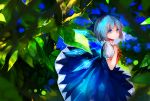  1girl blue_eyes blue_hair blurry bow cirno depth_of_field dress eyelashes hair_bow hands_on_own_chest highres jmjmjm_(jm648223960) lips looking_at_viewer outdoors parted_lips ribbon short_hair short_sleeves solo touhou tree wings 