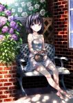  1girl barefoot black_hair cat dress flower kyon_(fuuran) original sandals short_hair single_shoe sitting smile solo violet_eyes 