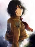  black_eyes black_hair jacket kanameyura lips mikasa_ackerman scarf shingeki_no_kyojin 