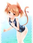  animal_ears brown_hair cat_ears red_eyes s-ram school_swimsuit short_hair silica silica_(sao-alo) swimsuit sword_art_online tail twintails 