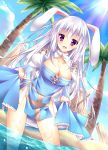  1girl animal_ears archbishop beach blush breasts cleavage collarbone curtsey cutout long_hair no_panties open_mouth palm_tree partially_submerged rabbit_ears ragnarok_online solo sorai_shin&#039;ya sun tree violet_eyes wet white_hair 