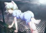  1girl animal_ears barefoot black_hanekawa cat_ears monogatari_(series) pajamas s.h.v short_hair solo white_hair yellow_eyes 