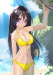  1girl bikini black_hair highres iwanishi long_hair multiple_girls original swimsuit violet_eyes 