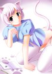  1girl absurdres all_fours alternate_hair_color black_eyes eraser hanekawa_tsubasa highres monogatari_(series) nekomonogatari notebook panties paw_pose paw_print pencil short_hair tail thigh-highs umitonakai underwear white_hair 