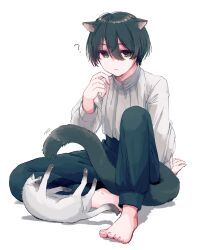  1boy ? animal_ears barefoot blue_pants cat cat_boy cat_ears cat_tail commentary_request double-parted_bangs green_eyes green_hair hair_between_eyes hand_up highres indian_style knee_up light_frown long_bangs long_sleeves looking_at_viewer lying male_focus motion_lines nishi_yukihira on_back original pants parted_lips short_hair siamese_cat simple_background sitting sweater tail very_long_tail white_background white_sweater 
