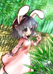  1girl animal_ears bamboo bamboo_forest black_hair fifiruu forest inaba_tewi jewelry mouth_hold nature pendant rabbit_ears red_eyes short_hair solo touhou wavy_hair 