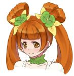  1girl brown_eyes bust cure_rosetta dokidoki!_precure face lowres marblewars orange_hair precure simple_background smile solo twintails white_background yotsuba_alice 