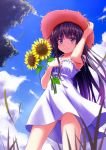  1girl dress flower hat highres long_hair original oruna purple_hair sky smile solo sunflower violet_eyes 