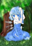  1girl blue_eyes blue_hair blush cirno colored highres hinatsuki_hayate looking_at_viewer outdoors short_hair sitting solo touhou 
