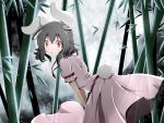  1girl animal_ears bamboo black_hair bunny_tail bwell carrot dress inaba_tewi jewelry moon pendant rabbit_ears red_eyes short_hair solo tail touhou 