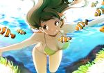 1girl air_bubble bikini brown_eyes brown_hair fish hakka_(88hk88) long_hair original solo swimming swimsuit underwater 