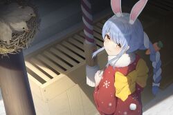  1girl animal_ears back+bow bird bird_nest blue_hair bow box braid carrot_hair_ornament chick closed_mouth coin_purse donation_box food-themed_hair_ornament from_above fur-trimmed_kimono fur_trim hair_bow hair_ornament highres holding hololive japanese_clothes kimono kouhaku_nawa long_hair looking_at_viewer looking_back minmi_(minmiism) multicolored_hair new_year obi obijime orange_eyes print_kimono rabbit_ears rabbit_girl rabbit_tail red_kimono rope sash shimenawa shrine smile snow snowflake_print solo tail twin_braids twintails two-tone_hair upper_body usada_pekora virtual_youtuber white_bow white_hair yellow_bow 