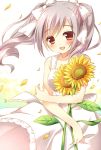  1girl blush bow dress flower hair_bow holding holding_flower idolmaster idolmaster_cinderella_girls kanzaki_ranko long_hair open_mouth petals red_eyes sakura_yuzuna silver_hair smile solo sunflower twintails white_dress wind 