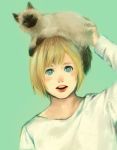  1boy animal_on_head armin_arlert blonde_hair blue_eyes cat cat_on_head miiii-joy shingeki_no_kyojin solo 