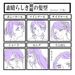  1girl alternate_hairstyle chart dokidoki!_precure kenzaki_makoto long_hair negom precure purple_hair short_hair short_ponytail side_ponytail solo translation_request violet_eyes 