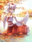  1girl a_luo animal_ears autumn_leaves detached_sleeves forest hat highres inubashiri_momiji lake long_sleeves looking_at_viewer nature red_eyes shirt silver_hair skirt skirt_lift smile solo tail tokin_hat touhou tree water wide_sleeves wolf_ears wolf_tail 