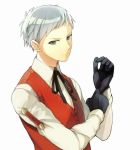  1boy gloves grey_eyes persona persona_3 ribbon sanada_akihiko shiorinda solo vest white_hair 