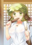  1girl alternate_costume animal_ears blush breasts cleavage danbo_(rock_clime) eating green_eyes green_hair highres kasodani_kyouko large_breasts looking_at_viewer messy no_bra popsicle see-through short_hair solo t-shirt tail touhou 