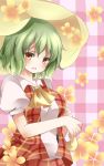  1girl ascot blush breasts checkered checkered_background flower green_hair kazami_yuuka looking_at_viewer parted_lips plaid plaid_skirt plaid_vest puffy_short_sleeves puffy_sleeves short_hair short_sleeves skirt skirt_set solo tamichan touhou umbrella yellow_eyes 