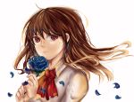  1girl blue_rose brown_hair flower ib ib_(ib) kumo_(dc12365489123) petals red_eyes rose solo tears 