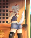  1girl alternate_costume animal_ears black_legwear commentary_request cube85 hat hat_ribbon highres inubashiri_momiji looking_at_viewer looking_back midriff open_mouth popsicle red_eyes ribbon shirt short_shorts shorts silver_hair solo sweat tail thighhighs tokin_hat touhou watermelon_bar wolf_ears wolf_tail 