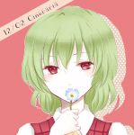  1girl blush bust dated flower green_hair kazami_yuuka looking_at_viewer red_eyes short_hair smile solo sui_(camellia) touhou 