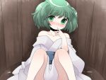  bucket green_eyes green_hair hammer_(sunset_beach) in_bucket in_container japanese_clothes kimono kisume obi short_hair sitting smile touhou twintails 