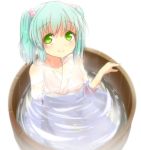  1girl aqua_hair bucket green_eyes in_bucket in_container japanese_clothes kisume solo tori_(minamopa) touhou twintails water wet 