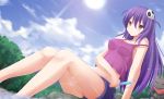  1girl alternate_costume cat hair_ornament haqua_du_lot_herminium highres kami_nomi_zo_shiru_sekai kazenokaze long_hair popsicle purple_hair red_eyes sakamoto_(nichijou) skull_hair_ornament strap_slip sun 