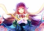  brown_hair dress flower frills green_eyes hat heterochromia lolita_fashion long_hair long_sleeves nail_polish open_mouth pink_rose prophet_heart red_eyes rose rozen_maiden solo suiseiseki thorns very_long_hair watering_can 