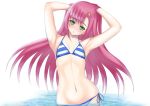  1girl bikini flat_chest green_eyes hayate_no_gotoku! katsura_hinagiku long_hair pink_hair sirumeria solo striped striped_bikini striped_swimsuit swimsuit 