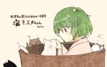 1girl atoki black_eyes bucket cat flying_sweatdrops green_hair hair_bobbles hair_ornament in_bucket in_container kisume smile solo sparkle touhou twintails 