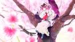  1girl brooch cherry_blossoms elbow_gloves flower gloves hat highres jewelry kanchigai parasol petals pointy_ears purple_hair red_eyes remilia_scarlet short_hair sitting skirt skirt_set smile solo touhou tree umbrella white_gloves 