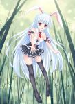  1girl alternate_costume alternate_hair_color animal_ears bamboo bamboo_forest black_legwear blush breasts cleavage forest fred0092 highres long_hair nature necktie rabbit_ears red_eyes reisen_udongein_inaba silver_hair skirt smile solo thighhighs touhou very_long_hair 