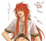  luke_fon_fabre tagme tales_of_(series) tales_of_the_abyss 