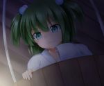  &gt;:) 1girl bucket green_eyes green_hair hair_bobbles hair_ornament in_bucket in_container kisume long_sleeves nikonikosiro short_hair short_twintails smile solo touhou twintails 