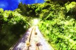 balancing child dress forest light nature railroad railroad_tracks sakutarou scenery shade sunlight tena_(teze) umineko_no_naku_koro_ni ushiromiya_maria 