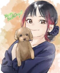  1girl animal animification black_hair blue_shirt brown_eyes closed_mouth commentary_request dog hair_ornament hairpin happy_birthday highres holding holding_animal looking_at_viewer multicolored_hair real_life red_hair shinyoujurin shirt simple_background smile two-tone_hair upper_body voice_actor yabushima_akane 