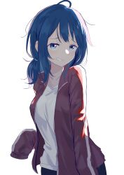  1girl absurdres blue_eyes blue_hair furrowed_brow grin hair_ornament hair_scrunchie hashtag-only_commentary highres jacket k2s looking_at_viewer make_heroine_ga_oo_sugiru! medium_hair open_clothes open_jacket red_jacket scrunchie shadow shirt simple_background sleeves_past_fingers sleeves_past_wrists smile smug solo track_jacket upper_body white_background white_shirt yanami_anna 
