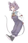1girl animal_ears arms_behind_back grey_hair hamira-ze long_tail looking_at_viewer mouse_ears mouse_tail nazrin red_eyes short_hair simple_background solo tail touhou white_background