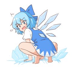  1girl blue_bow blue_dress blue_eyes blue_hair blush bow cirno commentary_request detached_wings dress from_behind full_body hair_bow ice ice_wings looking_at_viewer looking_back mizusoba short_hair short_sleeves simple_background solo squatting sweatdrop touhou white_background wings 