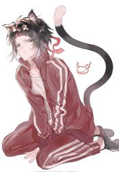  1boy akutagawa_ryuunosuke_(bungou_stray_dogs) alternate_costume animal_ears black_eyes black_hair bungou_stray_dogs cat_boy cat_ears cat_tail closed_mouth commentary corrupted_twitter_file full-length_zipper full_body headband highres jacket long_sleeves looking_at_viewer male_focus mitabxd_7 multicolored_hair open_clothes open_jacket pants red_headband red_track_suit shirt short_hair simple_background sitting solo symbol-only_commentary tail track_jacket track_pants track_suit two-tone_hair unzipped wariza white_background white_hair white_shirt zipper zipper_pull_tab 
