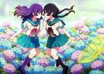  2girls akiyamabc black_hair blue_legwear braid brown_eyes eye_contact field floating flower flower_field hydrangea kneehighs long_hair looking_at_another mary_janes multiple_girls open_mouth original pleated_skirt profile purple_hair purple_legwear school_uniform serafuku shoes skirt twin_braids umbrella 