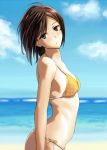 1girl beach bikini brown_eyes brown_hair neko_no_tsuno original short_hair swimsuit 