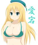  1girl atago_(kantai_collection) bikini blonde_hair breasts cleavage green_eyes kantai_collection long_hair solo swimsuit 