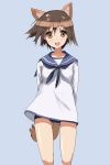  1girl animal_ears arms_behind_back blush brown_eyes brown_hair dog_ears dog_tail highres miyafuji_yoshika oike open_mouth sailor_dress school_swimsuit short_hair solo strike_witches swimsuit swimsuit_under_clothes tail 