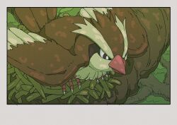  animal_focus beak bird bird_nest branch highres nest no_humans on_branch onamuzi_illust outdoors pidgey pokemon pokemon_(creature) pokemon_focus talons tree wings 