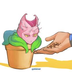  1boy :< closed_mouth colored_sclera commentary diamond_wa_kudakenai flower_pot food highres holding holding_food jojo_no_kimyou_na_bouken long_sleeves nijimura_okuyasu out_of_frame pet_food plant potted_plant rr8560 slit_pupils stand_(jojo) stray_cat_(jojo) symbol-only_commentary white_background yellow_eyes yellow_sclera 