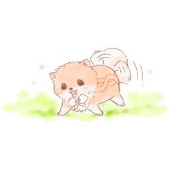  afterimage animal_focus artist_request bow bowtie brooch dog floof_(infinity_nikki) game_cg grass happy heart heart_brooch infinity_nikki jewelry light_blush motion_lines nikki_(series) no_humans official_art open_mouth shiba_inu smile solo tail tail_wagging transparent_background white_bow white_bowtie 