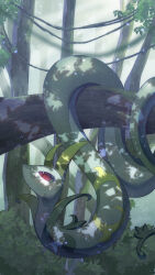  absurdres closed_mouth commentary_request day forest hanging highres looking_up nature no_humans outdoors plant pokemon pokemon_(creature) pokemon_focus red_eyes rlngo_juice serperior shadow solo tree vines 